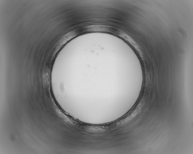 X0000111451049200908031409
