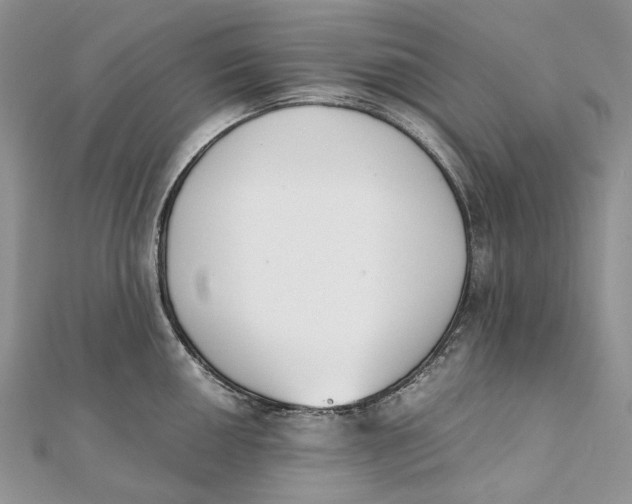 X0000111451050200908031409
