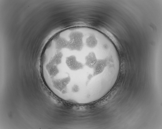 X0000111451051200908031409