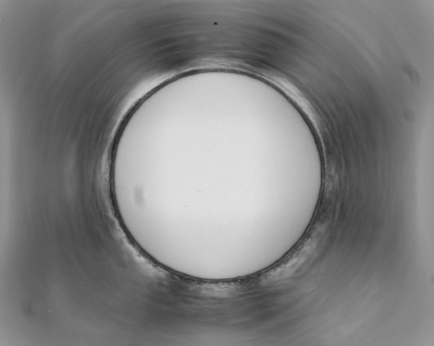 X0000111451053200908031409