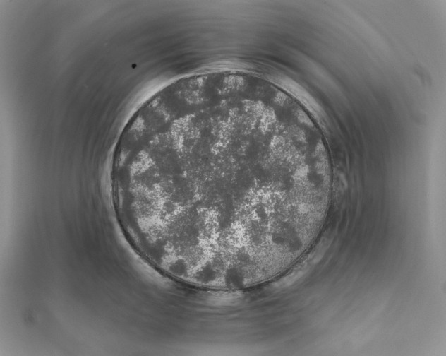 X0000111451055200908031409