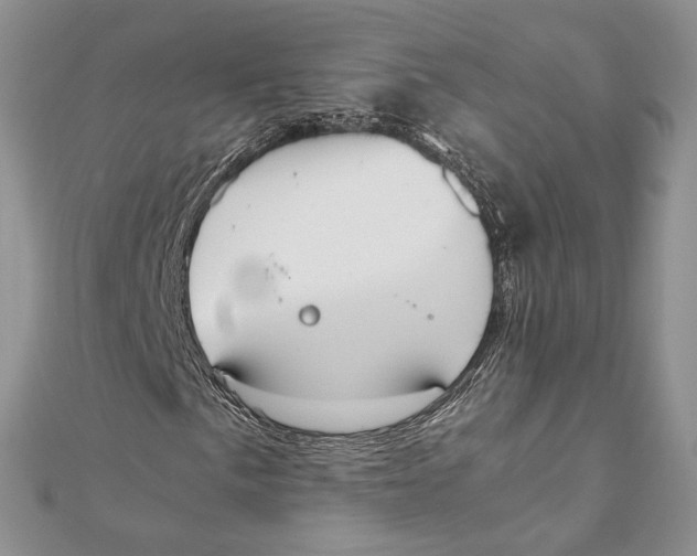 X0000111451057200908031409
