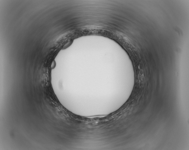 X0000111451062200908031409