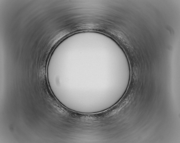 X0000111451073200908031409