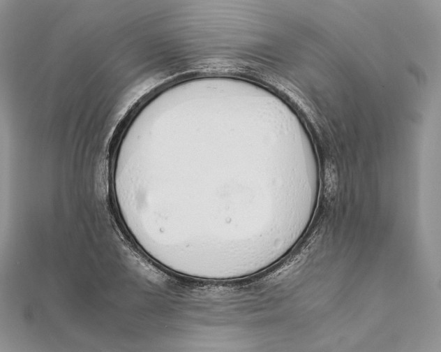 X0000111451075200908031409