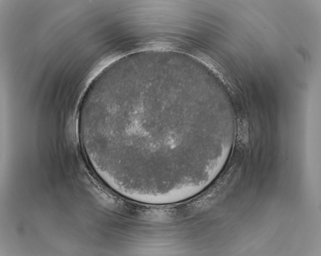 X0000111451078200908031408