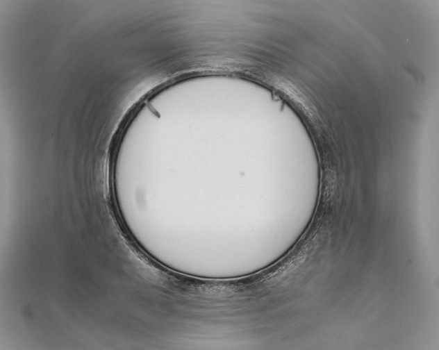 X0000111451079200908031408