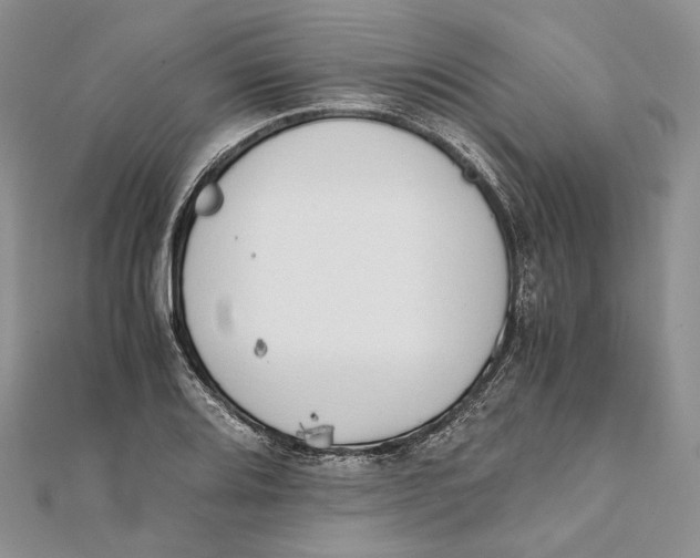 X0000111451080200908031408
