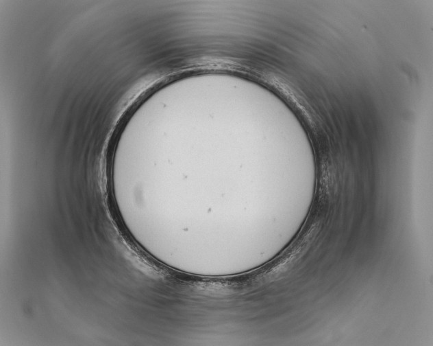 X0000111451082200908031408