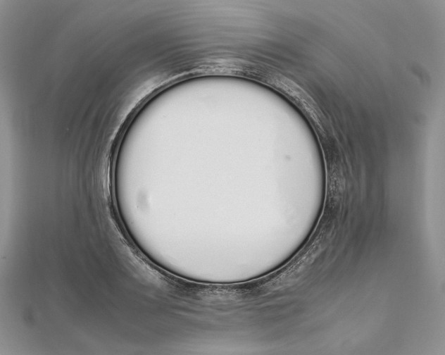 X0000111451083200908031408