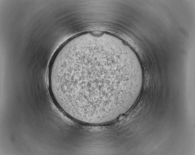 X0000111451084200908031408