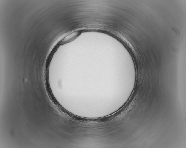 X0000111451085200908031408