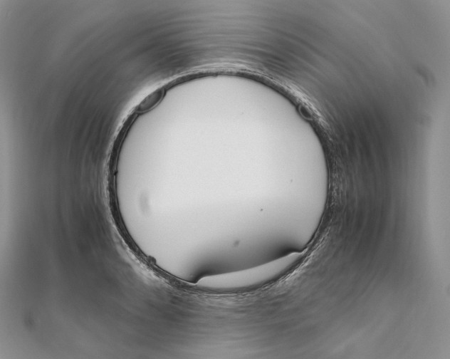 X0000111451086200908031408