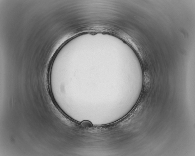 X0000111451091200908031408