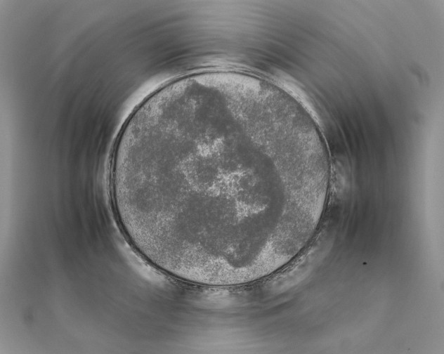 X0000111451098200908031408