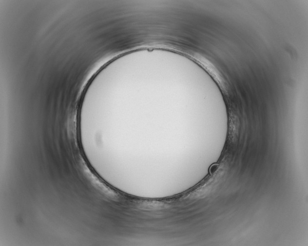 X0000111451100200908031408
