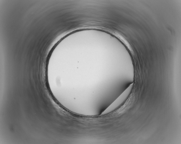 X0000111451101200908031408