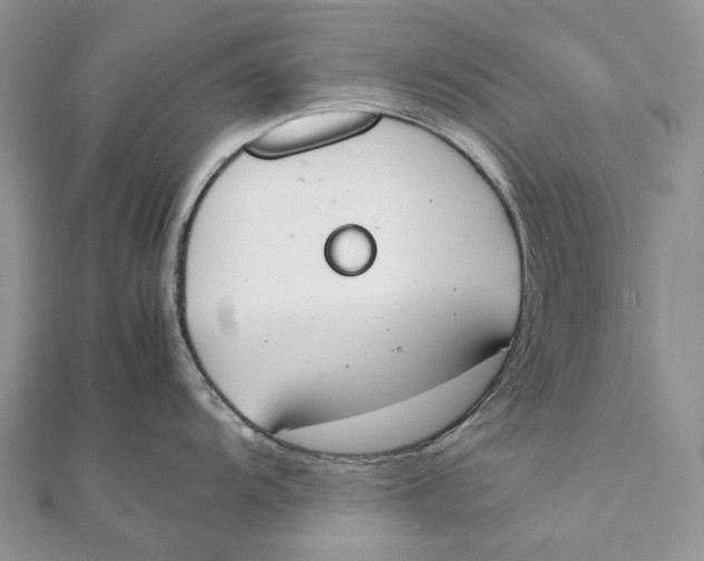 X0000111451104200908031408