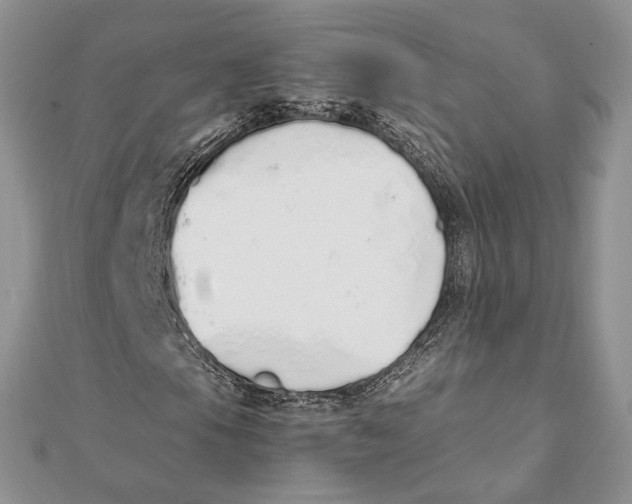 X0000111451105200908031407