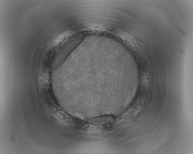 X0000111451110200908031408