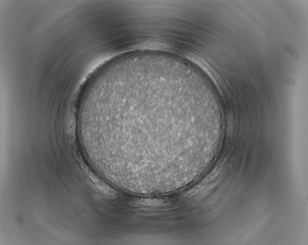 X0000111451115200908031408