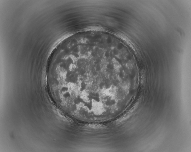 X0000111451117200908031408