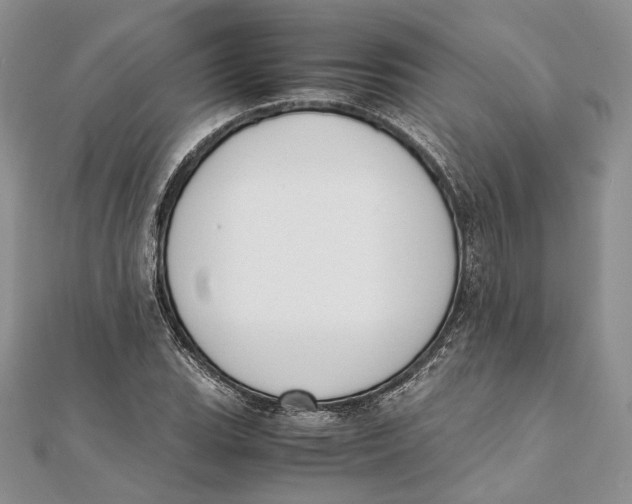 X0000111451119200908031408