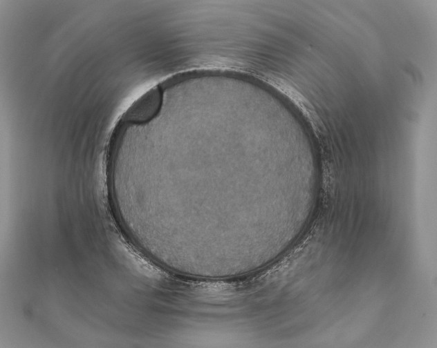 X0000111451120200908031408