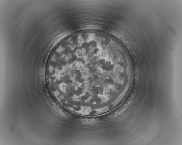 X0000111451121200908031408