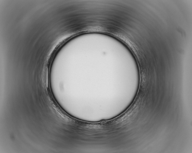 X0000111451123200908031408