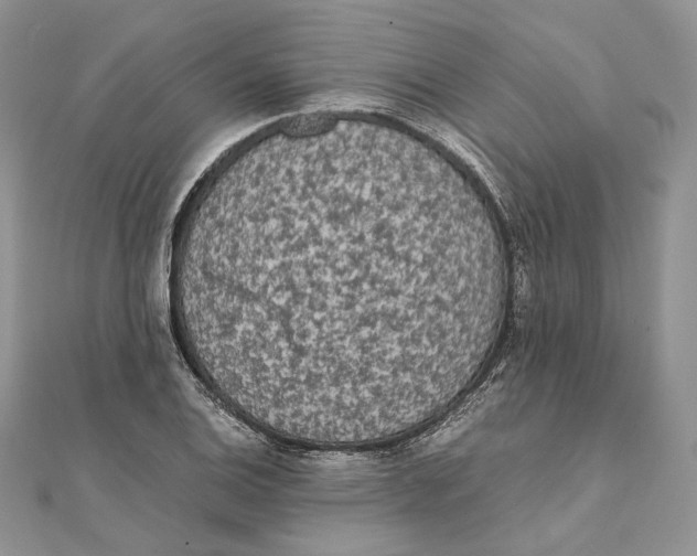 X0000111451124200908031408