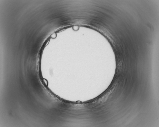 X0000111451126200908031408