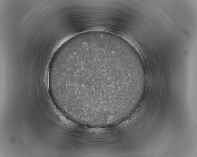 X0000111451127200908031408