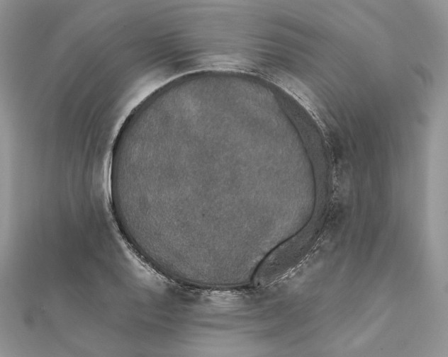 X0000111451128200908031408