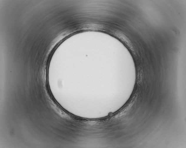 X0000111451130200908031408