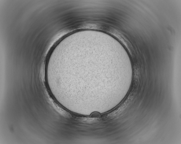 X0000111451131200908031408