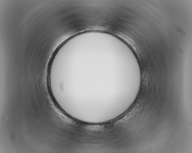 X0000111451135200908031408