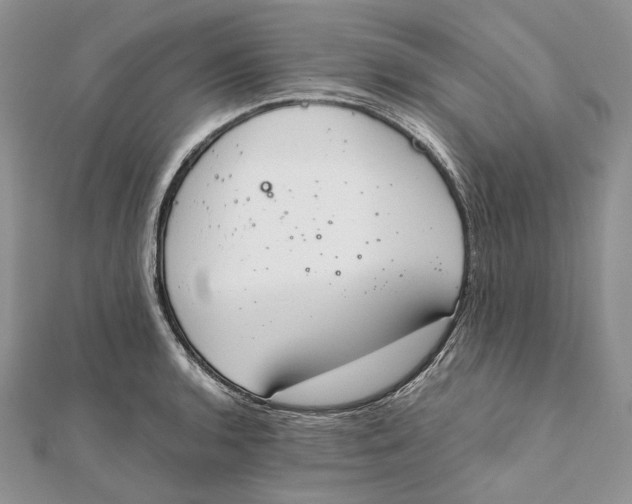 X0000111451136200908031408