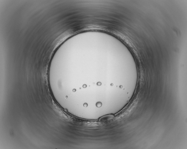 X0000111451137200908031408