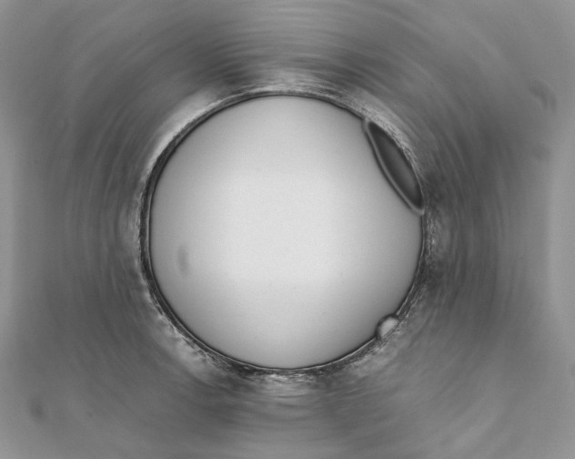 X0000111451138200908031408