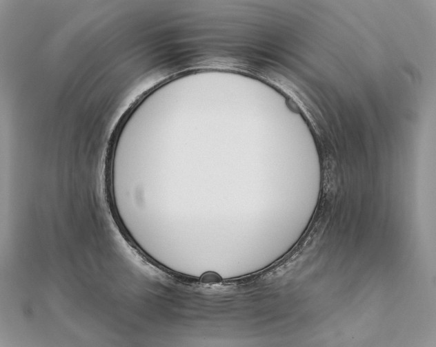 X0000111451139200908031408