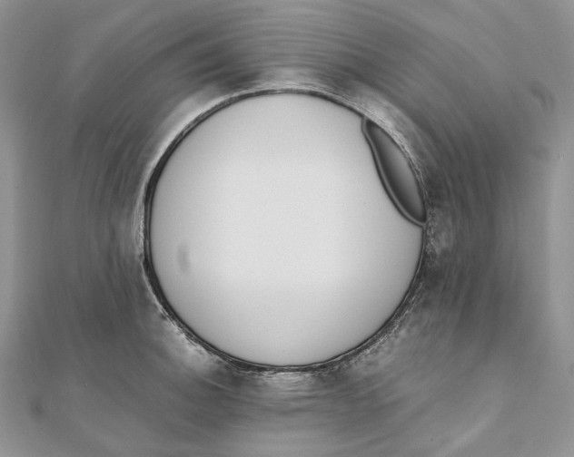 X0000111451140200908031408