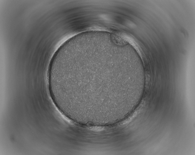 X0000111451141200908031408