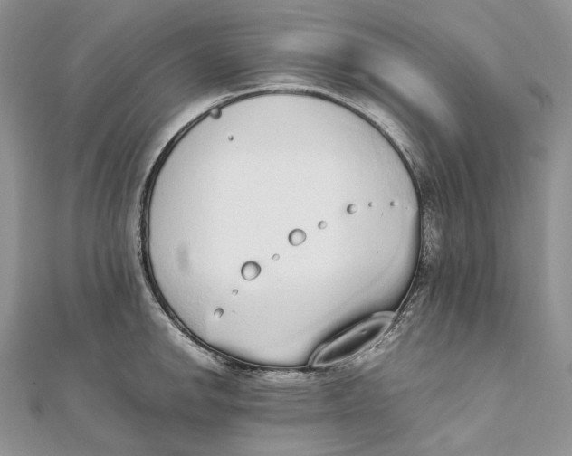 X0000111451142200908031408