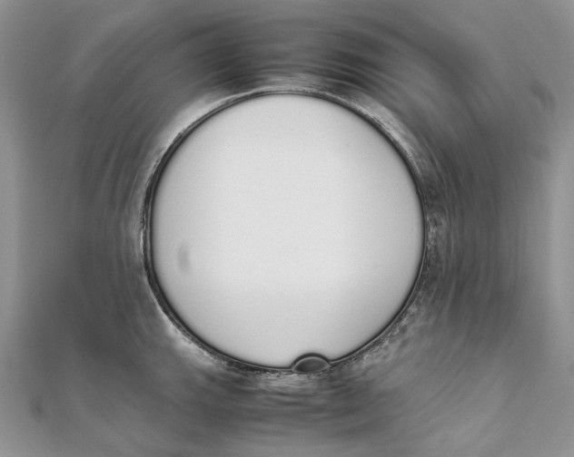 X0000111451143200908031408