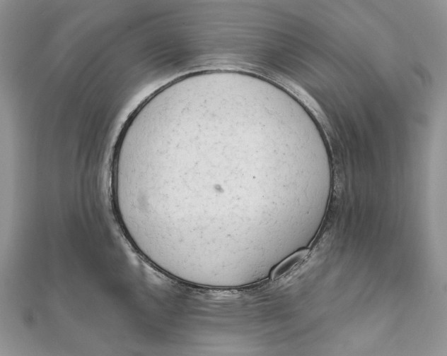 X0000111451144200908031408