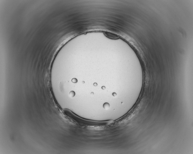 X0000111451145200908031408