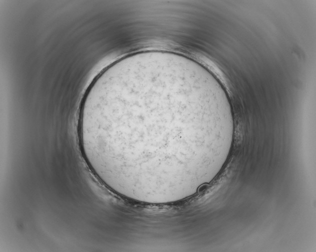 X0000111451146200908031408