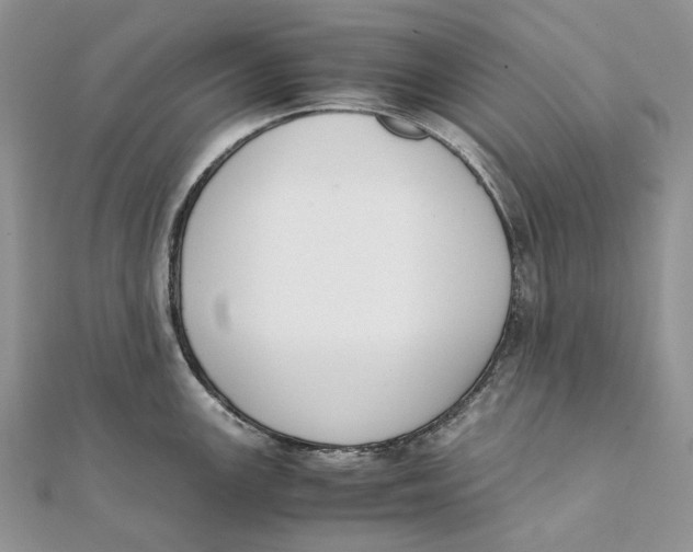 X0000111451147200908031408