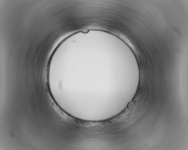 X0000111451148200908031408